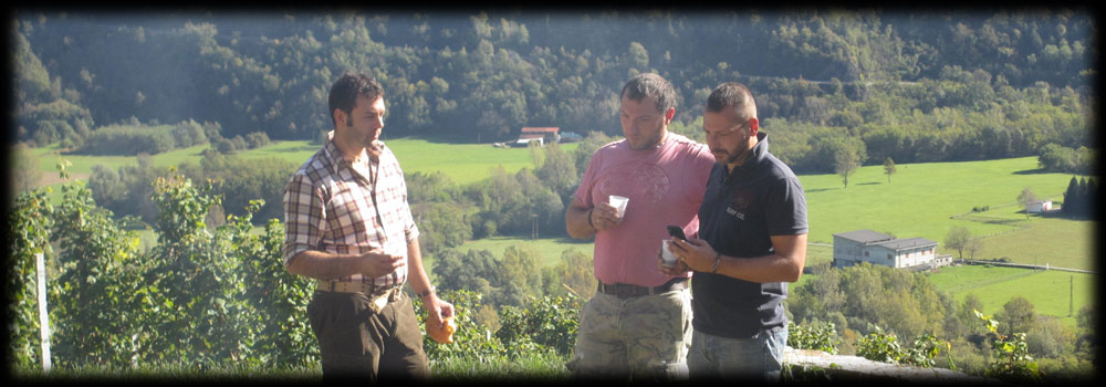 l'ottavon nano .. il team